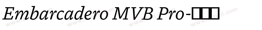 Embarcadero MVB Pro字体转换